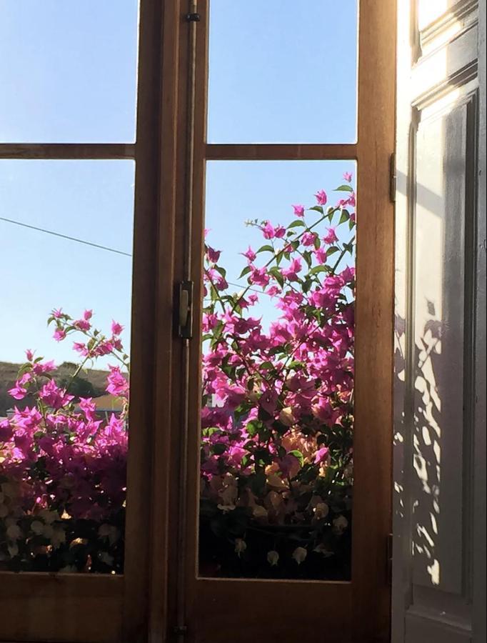 부르가우 Casa Grande Portugal B&B 외부 사진