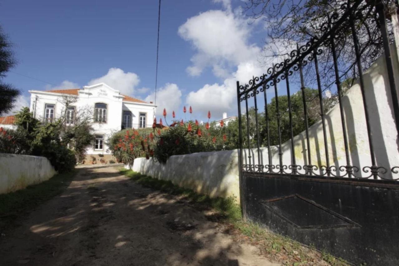 부르가우 Casa Grande Portugal B&B 외부 사진
